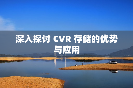 深入探讨 CVR 存储的优势与应用